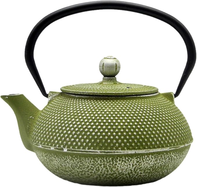 Cast Iron Teapot Tea Kettle with Stainless Steel Infuser for Stovetop Safe Coated with Enameled Interior Japanese Green Tetsubin for Loose Tea(30.4oz/900ml)