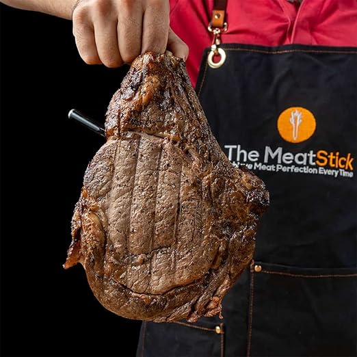 MeatStick WiFi Bridge Set | 2-Probe Package | Smart Wireless Meat Thermometer | Unlimited Range Digital Food Probe with Bluetooth | for Smoking, Grilling, BBQ, Air Fryer, Deep Frying, Oven, Rotisserie
