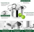 P&P CHEF 8 Quarts Cooking Stock Pot with Lid, Stainless Steel Stockpot Induction Pot for Soup, Tri-Ply Bottom & Clear Glass Lid & Double Handle, Dishwasher Safe