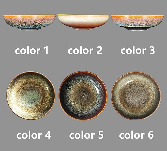 Large Pasta Bowls 56 Oz, soup bowl soup plate, Set of 2, Serving, Salad, Dinner, deep Plate/Wide Bowl, Microwave, Oven, Dishwasher Safe Kitchen Dinnerware, Modern Porcelain Dishes 10 inch