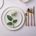 AmorArc Stoneware Dinnerware Sets for 6,Reactive Ceramic Plates and Bowls Set,Highly Chip and Crack Resistant | Dishwasher & Microwave Safe | Round Dishes Set Service for 6 (18pc),Matte White