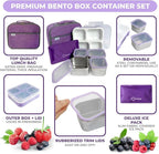 kinsho Stainless Steel Bento Lunch Box Set for Adults, Kids - Insulated Bag and Ice Pack - Leak-Proof Metal Compartment Meal Prep Food & Snack Containers for Work Travel School Daycare, 36 oz Purple