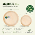 Chic Leaf Palm Leaf Compostable Plates - 10" & 6", 48 Pack - Alternative to Plastic Plates - Biodegradable Dinnerware Sets - For Weddings & Parties