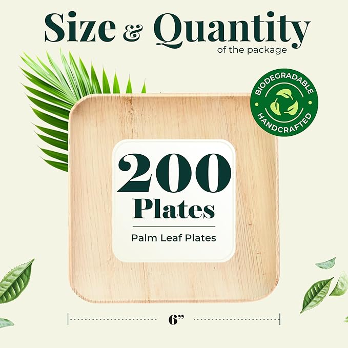 Palm Leaf Plate Bamboo Paper Disposable 6 Inch 200 Bulk Appetizer and Dessert Square Party Pack Eco Biodegradable Compostable Wooden Plate Better Than Plastic By KoalaLove