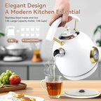 Rasonic Retro Electric Kettle Stainless Steel, 1.8L Tea Water Boiler, 1500W Fast Quiet Boil, Temperature Gauge, Auto Shut-Off, Boil-Dry Protection, White Champagne Gold