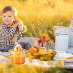 Citrus Lemon Orange Juicer Manual Hand Squeezer, Fruit Juicer Lime Press with Built-in Measuring Cup and Grater and Egg separator, Non-Slip Silicone Handle, 20OZ