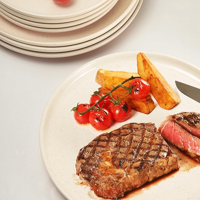 GZG Ceramic Dinner Plates Set of 4, 10.25 Inch Speckled Stoneware Plates with Clay-Tone Base, Large Ceramic Plates for Steak, Salad, Pizza, Microwave Oven Dishwasher Safe