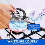 GGC Whistling Stove Top Tea Kettles, 304 Stainless Steel Tea Kettles with Anti-Heat Handle, 2.7QT/3L Tea Pot for Boiling Water, Coffee or Milk