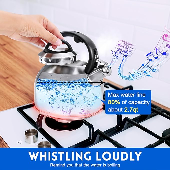 GGC Whistling Stove Top Tea Kettles, 304 Stainless Steel Tea Kettles with Anti-Heat Handle, 2.7QT/3L Tea Pot for Boiling Water, Coffee or Milk