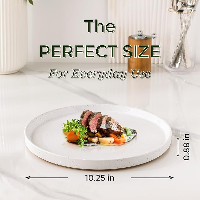 AmorArc Ceramic Dinner Plates Set of 6, 10.25 Inch Stoneware Plates for Kitchen,Modern Flat Dinnerware Dishes Set,Microwave& Dishwasher Safe, Scratch Resistant-White