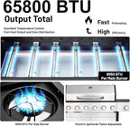 6-Burner Propane Gas BBQ Grill, 2 in 1 Propane Griddle Grill Combo with Porcelain-Enameled Cast Iron Grates & Plate, 65800 BTU with Side Stove for Outdoor Cooking Camping Patio Backyard(6+1 burner)