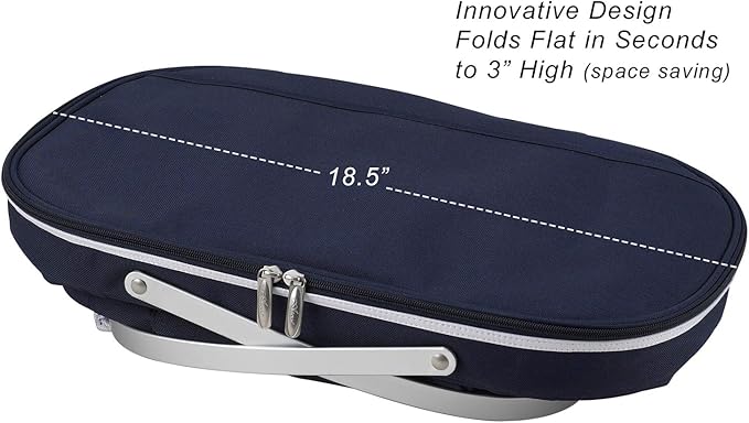 Picnic at Ascot Patented Collapsible Insulated Picnic Basket Equipped with Service For 4- Designed and Assembled in USA