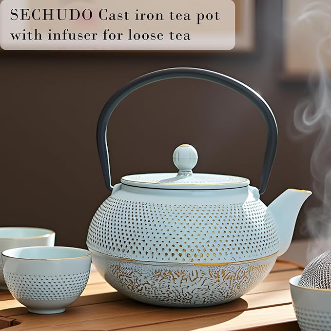 30.4oz Small Cast Iron Teapot, Tea Kettle for Stovetop Safe Coated with Enameled Interior, Japanese Tetsubin, Tea Pot with Stainless Steel Infuser for Loose Tea(900ml)