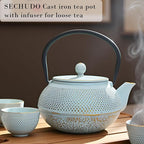 30.4oz Small Cast Iron Teapot, Tea Kettle for Stovetop Safe Coated with Enameled Interior, Japanese Tetsubin, Tea Pot with Stainless Steel Infuser for Loose Tea(900ml)