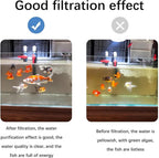 Cast Iron Moroccan Tagine Pot with Tray, Non-Stick Tagine with Conical Lid Induction Compatible Gas Stove Kitchen Essential(Size:11.81x7.87x14.17in/30x20x36CM)