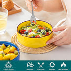 vancasso Bonita Cereal Bowls Set of 6, 24 Oz Ceramic Bowls for Kitchen, Dishwasher & Microwave Safe Bowls for Soup, Cereal, Dessert, Fruit, Warm Colored Bowl Set