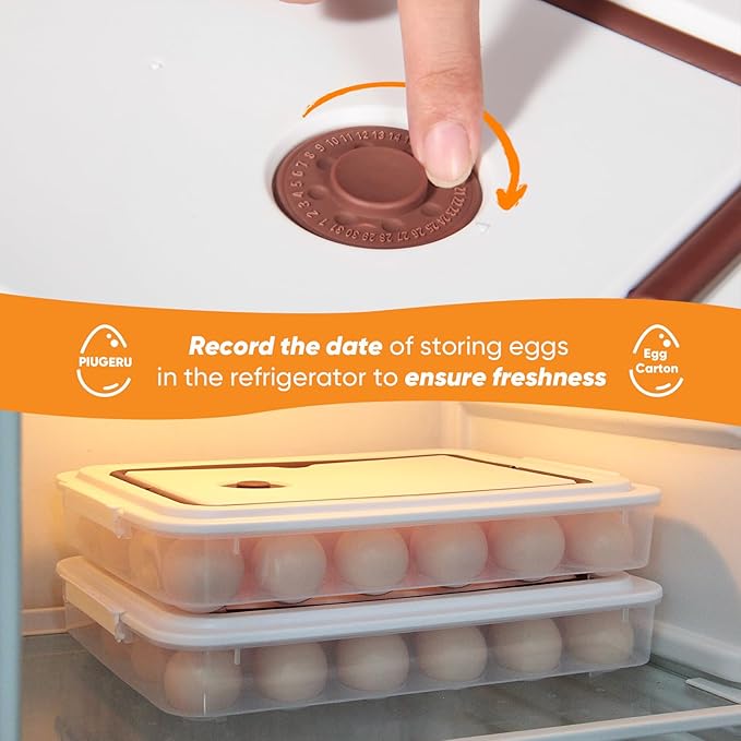 Deviled Egg Containers with Lid, (Set of 2), Plastic Deviled Egg Tray Carrier with Handle for 48 Eggs, Clear Storage Egg Platter for Devil Egg, Fridge Stackable Portable Egg Holder