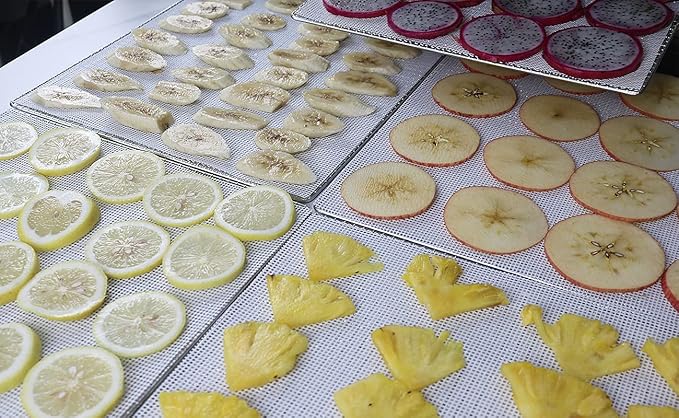 Mesh Silicone Dehydrator Sheets, 15.5x15.5 in 10 Pcs/Sets for Food Dehydrator & Freeze Dryer (15.5x15.5 INCH Mesh Silicone Dehtdrator Sheet)