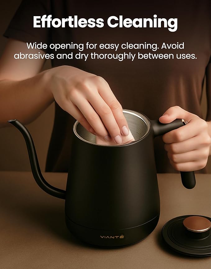 Vianté Electric Gooseneck Kettle with Precise Temperature Control. Pour Over Coffee & Tea Kettle. Boil-Dry Protection & Keep Warm Function. Stainless Steel, BPA-Free. Includes V60#2 Filters. 0.8L