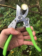 Garden Shears, Japanese Pruning Shears for Heavy Duty, Flowers Herbs Grapes Plant and Branch Cutters, Clippers, Trimmers, Scissors (Green)
