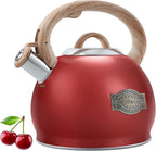 Tea Kettle Stovetops, 2.7 Quart Food Grade Stainless Steel Water kettles for Stove Top Teatop with Anti-hot Ergonomic Handle,Suitable for All Heat Sources