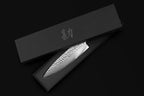 KAN Core Professional Chef Knife 8-inch VG-10 67 layers Damascus Ambidextrous (Hammered Japanese VG-10 Blade, G10 handle-upgraded version)