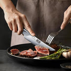 HOSHANHO Steak Knives Set of 6, Ultra Sharp 4.5 Inch Serrated Steak Knife Set, Japanese High Carbon Steel Kitchen Steak Knives with Ergonomic Handle