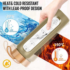 Aqulea Glass Water Bottles with Silicone Sleeve - BPA Free Reusable Wide Mouth Glass Motivational Water Bottles with Fruit Infuser – Leak Proof Borosilicate Water Bottle with Time Marker