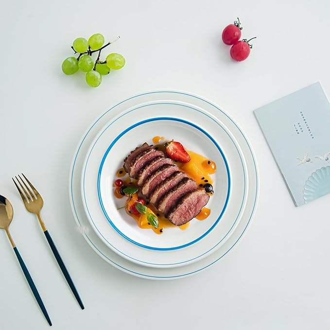 9-inch Porcelain Dinner Plate Set of 6 - Microwave, Oven and Dishwasher Safe, Scratch Resistant. (9-inch Blue)