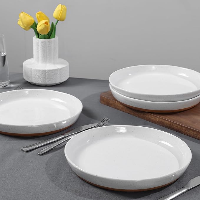 4 Piece Stoneware Plate Sets, White Ceramic Dinner Plates, 10 Inch Modern Porcelain Serving Plates, Scratch Resistant, Microwave&Dishwasher Safe,White(Brown Bottom)
