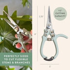 Modern Sprout Pruning Shears - Herb Snipping Scissors- Lightweight Gardening Tools W/Easy Lock - Flower Cutter Garden Shears - Carbon Steel Blade + Plastic-Free Reusable Holster (Multicolor, 12 Pcs)