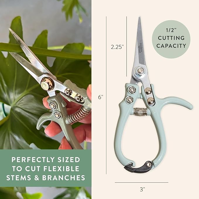 Modern Sprout Pruning Shears - Herb Snipping Scissors- Lightweight Gardening Tools W/Easy Lock - Flower Cutter Garden Shears - Carbon Steel Blade + Plastic-Free Reusable Holster (Multicolor, 4 Pcs)
