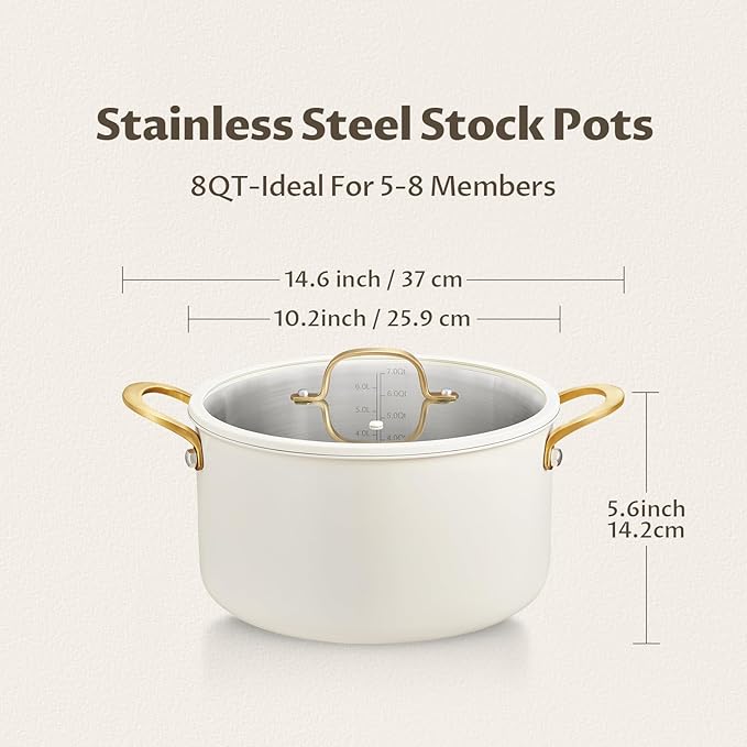 BEZIA 8 Quart Tri-Ply Stainless Steel Pot with Lid, Sturdy & Double Handle, Compatible with Most Cooktops, Even Heat Distribution, Perfect for Stews, Simmering & Soups