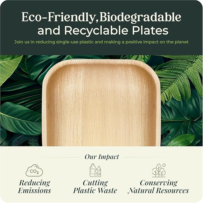 Palm Leaf Plate Bamboo Paper Disposable 6 Inch 100 Bulk Appetizer and Dessert Square Party Pack Eco Biodegradable Compostable Wooden Plates Better Than Plastic Plates By KoalaLove
