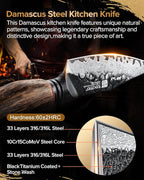 XINZUO Kitchen Paring Knife 4.2 Inch,Razor Sharp Hand Forged Damascus Steel Small Kitchen Knife For Peeling Coring Fruit With Ergonomic Handle