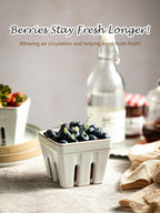 Gomakren Ceramic Berry Basket Set of 2, Square Fruit Bowl with Holes, Small Fruit Basket Containers for Kitchen Counter, Berries, Strawberry, Grape, Cherry, White