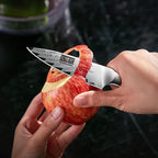 Paring Knife 3.75 Inch Small Kitchen Knife, Super Sharp Damascus Steel Fruit Knife, Multifunctional Peeling Knife for Cutting Fruit Vegetables