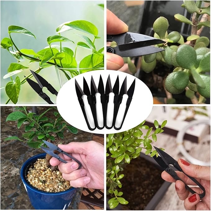 JINJIAN Bonsai Pruning Scissors 6PCS - Small Pruner Shears Bud Leaves Trimmer Garden Shears for Plants, Gardening Clippers for Flower Bonsai Trimming Pruners Trimmers Secateurs(BLACK)