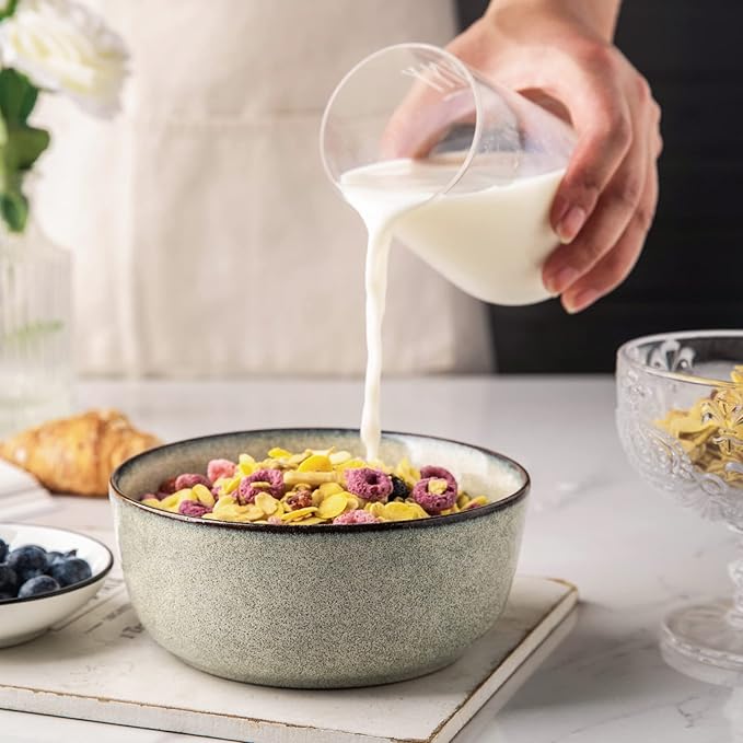 AmorArc Cereal Bowls Set of 6 for Kitchen, 26oz Stoneware Soup Bowls Set for Cereal Soup, Modern Kitchen Bowls for Meal, Dishwasher &Microwave Safe, Reactive Glaze