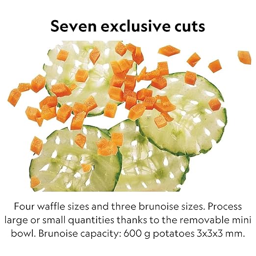 Robot Coupe CL50GOURMET Single-Speed Cutter Mixer Continuous Feed Commercial Food Processor with Side Discharge, 120v