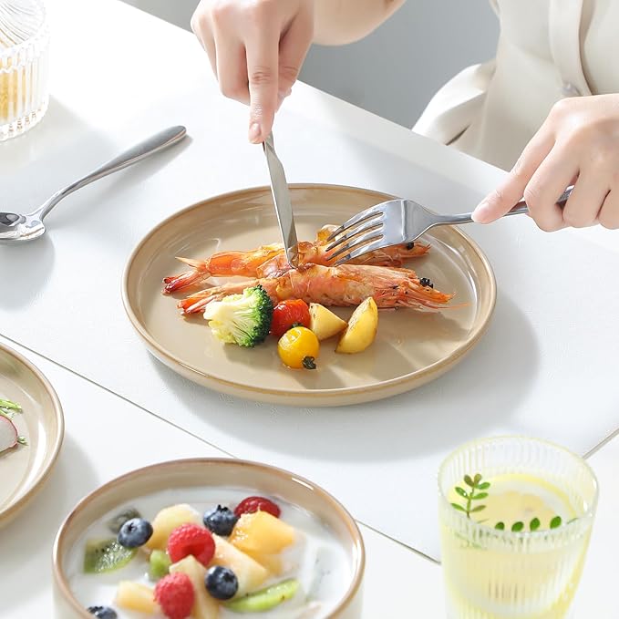 vancasso PLAYA Ceramic Plates and Bowls Sets, 18 Pieces Brown Dinnerware Sets for Kitchen, Reactive Glaze Dishes Set for 6, Dishwasher and Microwave Safe