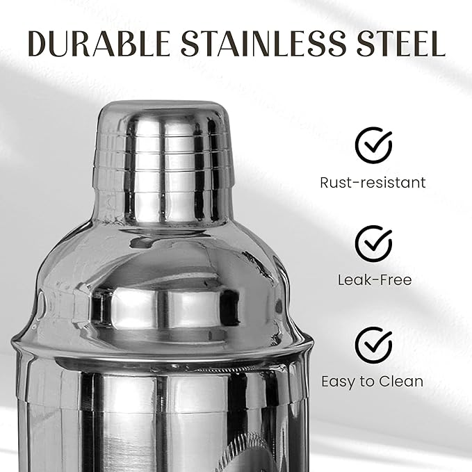 Mixology & Craft Bartender Kit – 15-Piece Cocktail Shaker Set with Bar Tools, Premium Stainless Steel Drink Mixer Accessories for Home Bar, Includes Bamboo Stand, Plus Exclusive Recipe Cards (Silver)