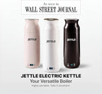 Electric Kettle - Travel Portable Heater for Coffee Tea Milk Soup - Stainless Steel Travel Water Boiler tea pot with Temperature Control - LED - Automatic Power Off - 450ml - Kitchen Appliance