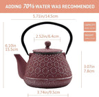 Cast Iron Teapot, 20.3oz Small, Enameled Interior, Stainless Steel Infuser for Loose Tea (Pink Gerbera Pattern)