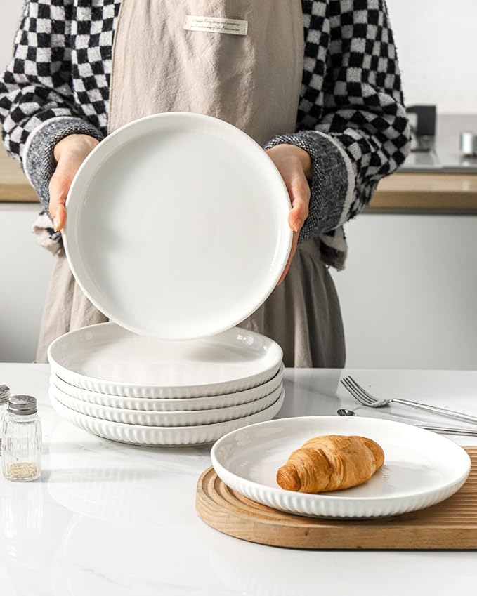 Ceramic Dinner Plates Set of 2,10 Inch,Microwave,Dishwasher and Oven Safe,Porcelain Dessert Plates for Pasta,Appetizer,Salad and Steak,Dishes Set for Kitchen,Scratch Resistant,Striped White