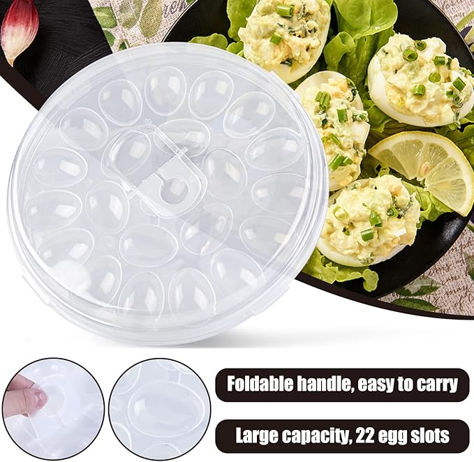 HANSGO Deviled Egg Containers with Lid, Portable Deviled Egg Platter Carrier Holder Trays with 22 Slots for Holiday Party and Home Kitchen, Clear