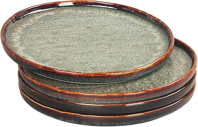 Appetizer plate Porcelain Dinner Plates Set of 4,for Main Dish,Steak,Bread,Risotto,Pasta,Salad - Microwave,Oven and Dishwasher Safe,Scratch Resistant durable,9.84 Inch Black