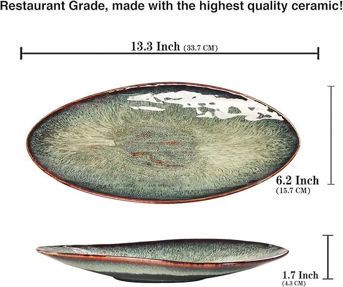 Ceramic Dinner Plates Set of 4, for Bread, Pasta, Salad, sushi - Microwave, Oven and Dishwasher Safe, Scratch Resistant durable Black reactive glaze
