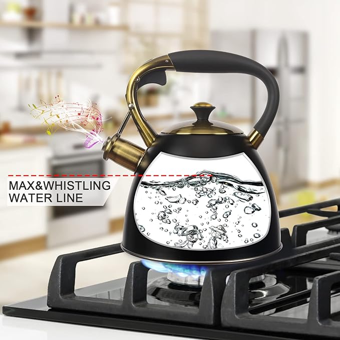Tea Kettle -2.9 Quart Tea Kettles Stovetop Whistling Teapot Stainless Steel Tea Pots for Stove Top Whistle Tea Pot