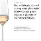 ZWIESEL GLAS Pure Champagne Glass (Set of 4), Champagne Flutes with Effervescent Point, Dishwasher-Safe Tritan Crystal Glasses, Made in Germany (10 Ounce)